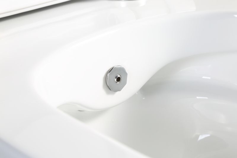 Унітаз підвісний PREMIUM ELLIPSE-1301-R з функцією біде (500х365х350мм) RIMLESS MIXXUS
